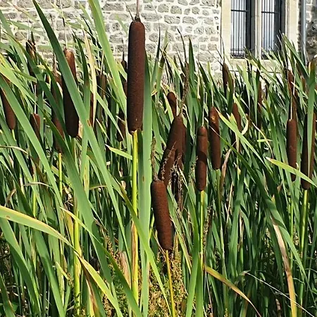 Casa de Férias La Massette