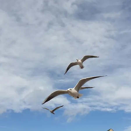 Casa de Férias La Massette