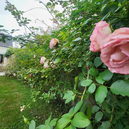 La Massette * Favières